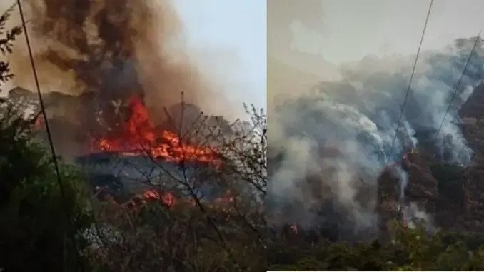 Por intentar grabar un video de Tik Tok, joven provocó un voraz incendio de 60 hectáreas