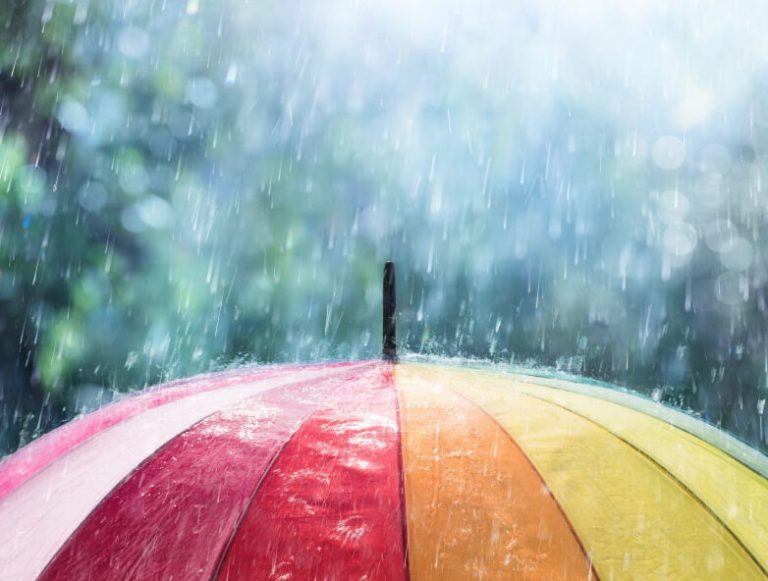 CoViD-19: plusieurs organismes à but non lucratif à la dérive